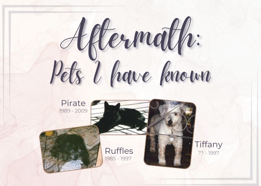 Aftermath: Pets I have Known. Photos of Pirate (cat - 1989-2009); Ruffles (dog - 1985-1997); Tiffany (dog - ??-1997)