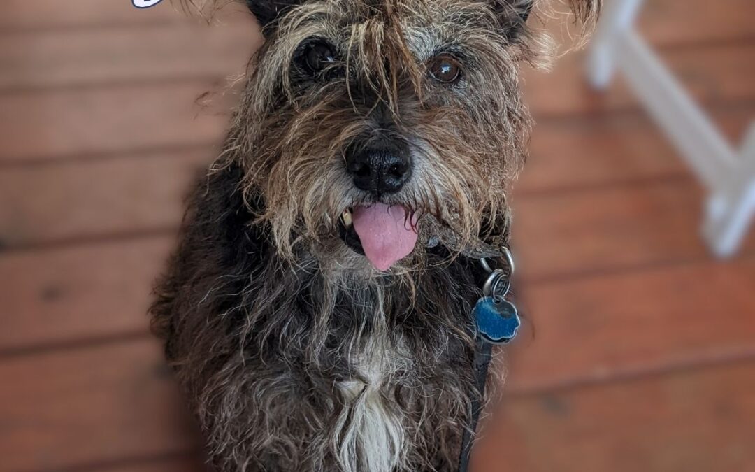 Keely Has Found Her Way (in memoriam)